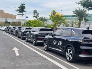 Thông tin về dịch vụ GF VIP