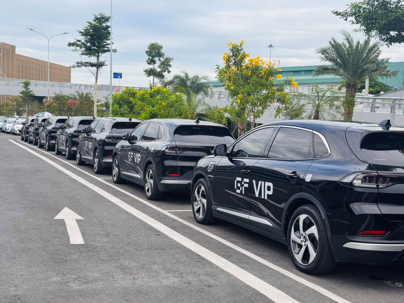 Thông tin về dịch vụ GF VIP