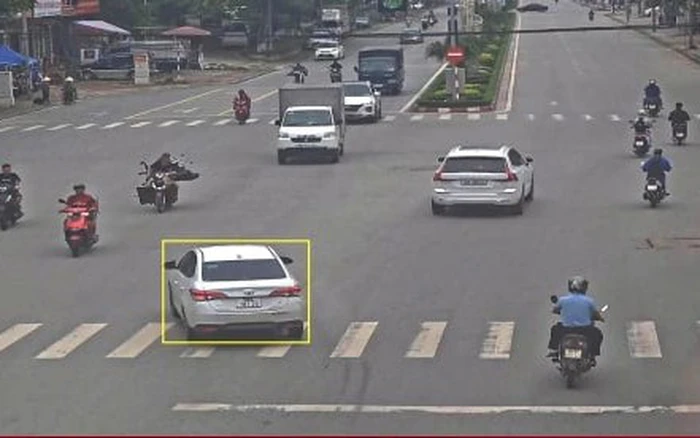 Thông tin về vi phạm