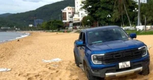 Phản ứng của cộng đồng